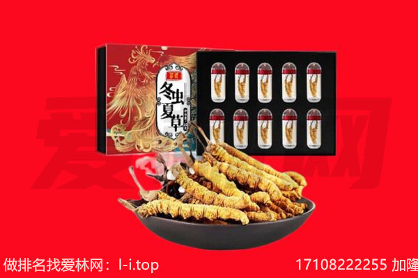 罗城县回收虫草.jpg